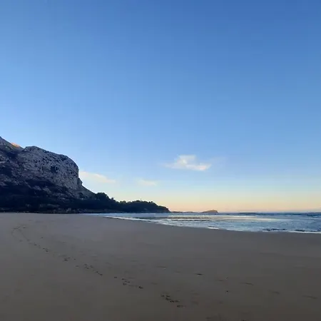 La Ballena De Sonabia *