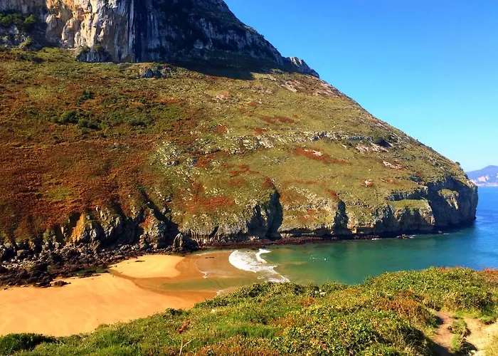 La Ballena De Sonabia