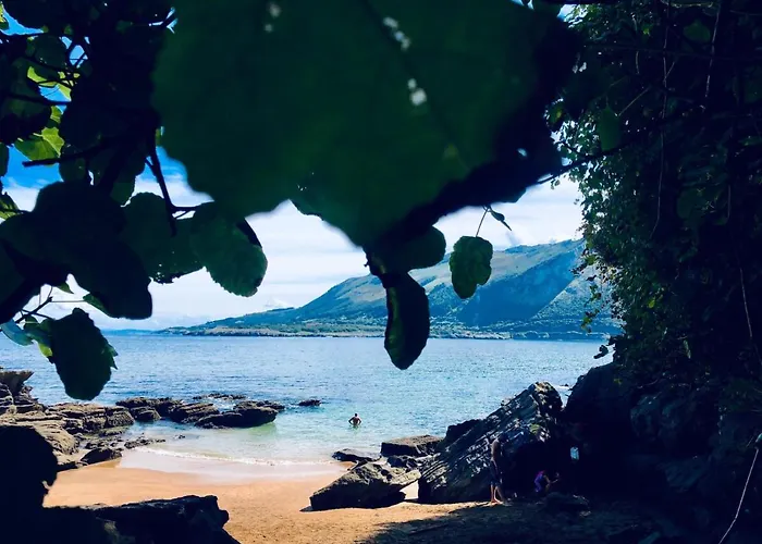 فيلة La Ballena De Sonabia